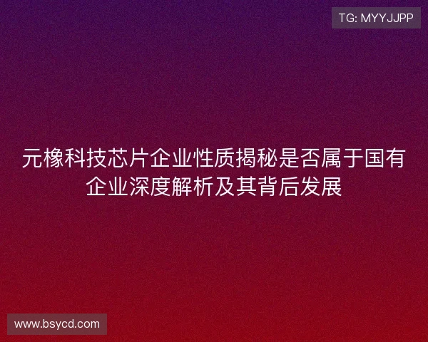 元橡科技芯片企业性质揭秘是否属于国有企业深度解析及其背后发展