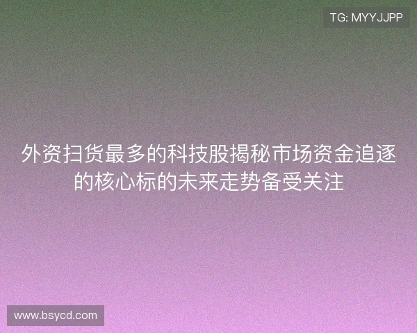 外资扫货最多的科技股揭秘市场资金追逐的核心标的未来走势备受关注 外资扫货最多的科技股揭秘市场资金追逐的核心标的未来走势备受关注